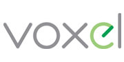 logotyp voxel